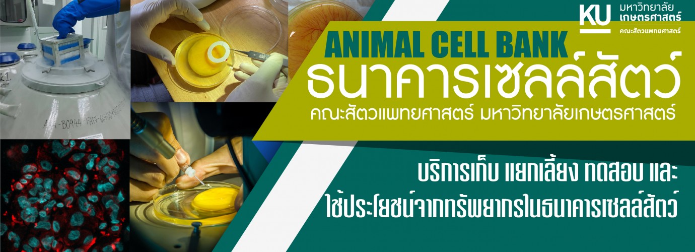 ประกาศผลการคัดเลือกสัตวแพทย์เข้าร่วมการอบรมเชิงปฏิบัติการเพื่อพัฒนาทักษะด้านคลินิก